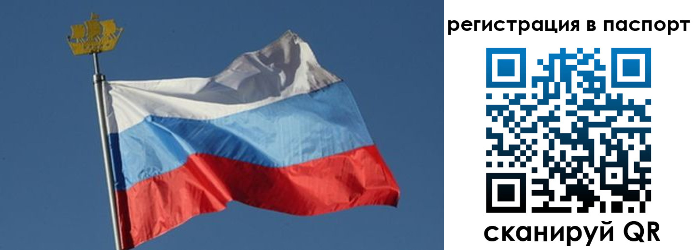 пропишу в квартире в Липецке